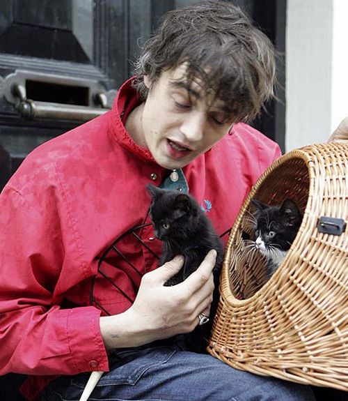 Famous People and Their Cats (67 pics)