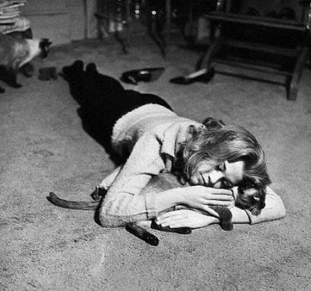 Famous People and Their Cats (67 pics)