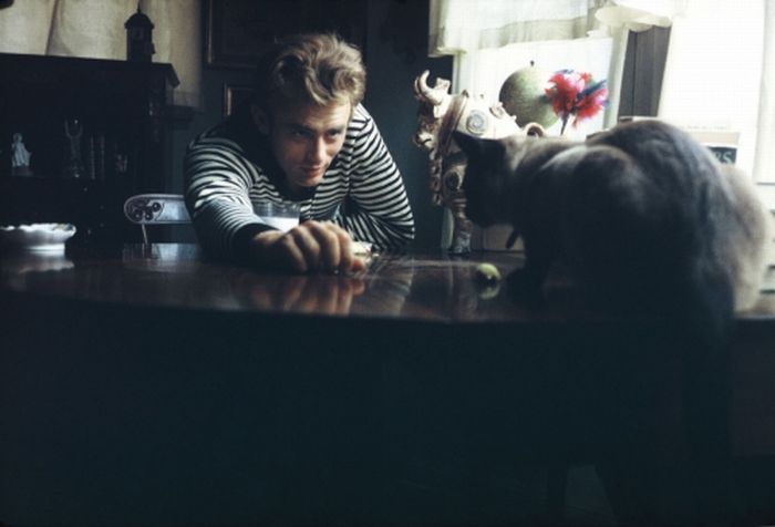 Famous People and Their Cats (67 pics)