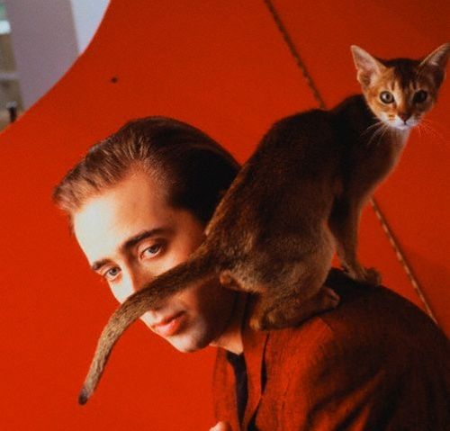 Famous People and Their Cats (67 pics)