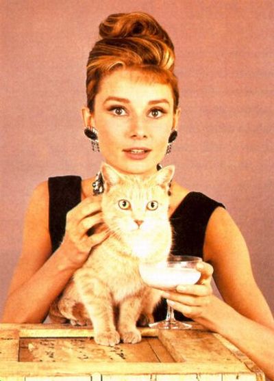 Famous People and Their Cats (67 pics)