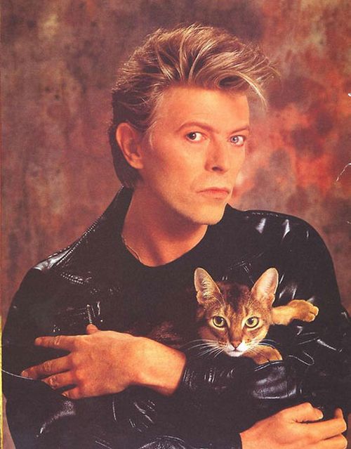 Famous People and Their Cats (67 pics)