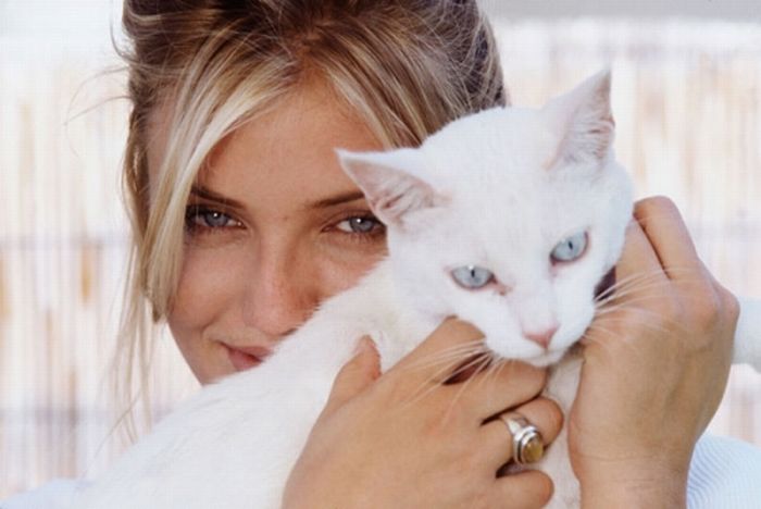 Famous People and Their Cats (67 pics)