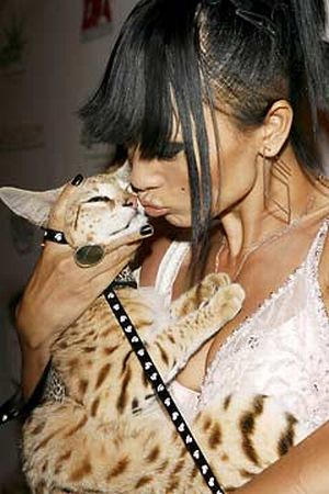 Famous People and Their Cats (67 pics)