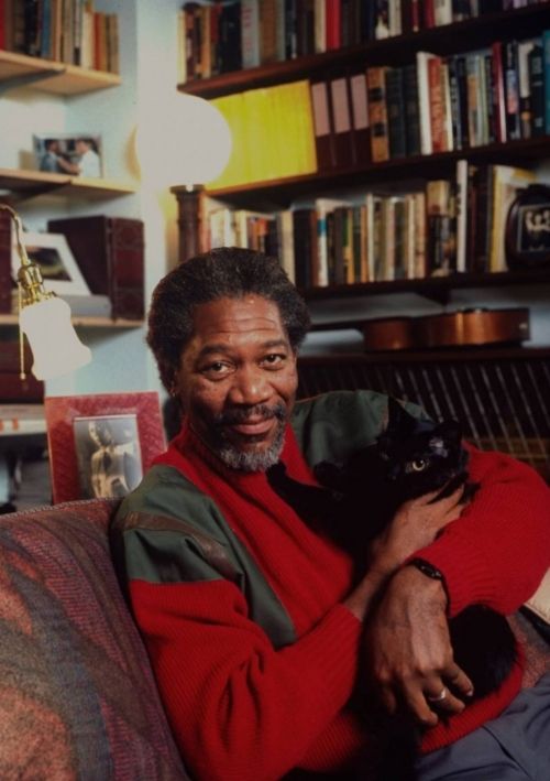 Famous People and Their Cats (67 pics)