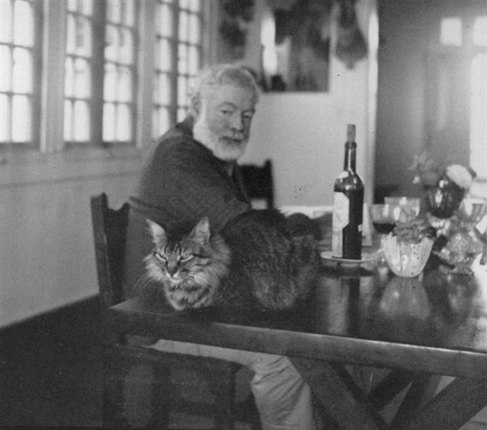 Famous People and Their Cats (67 pics)