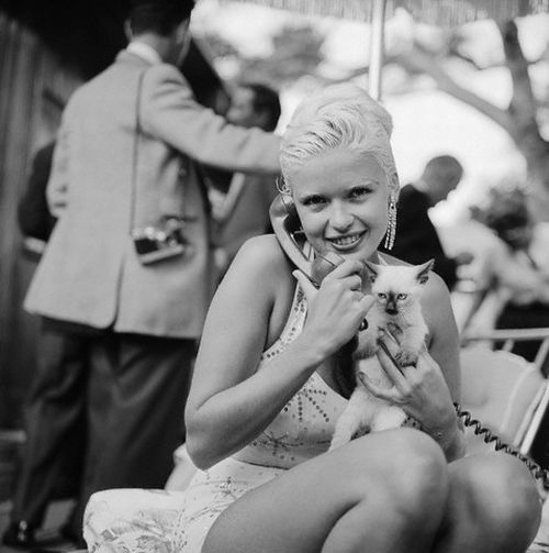 Famous People and Their Cats (67 pics)