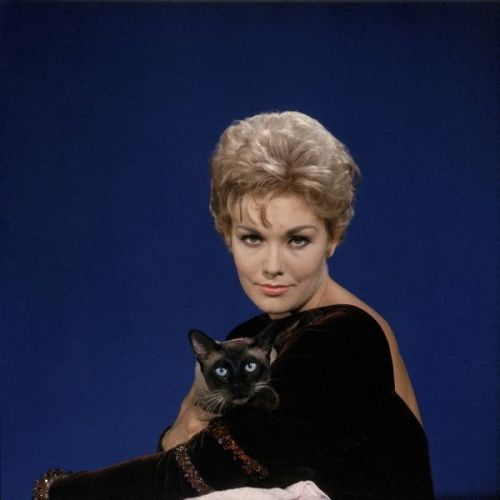 Famous People and Their Cats (67 pics)