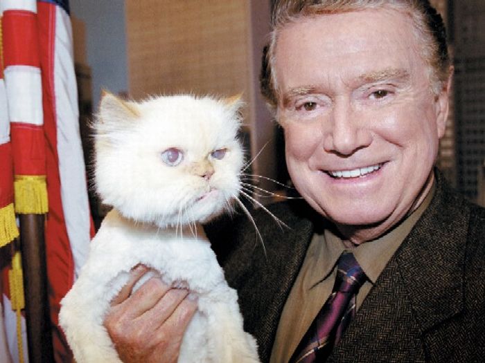 Famous People and Their Cats (67 pics)