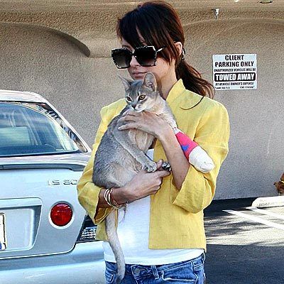 Famous People and Their Cats (67 pics)