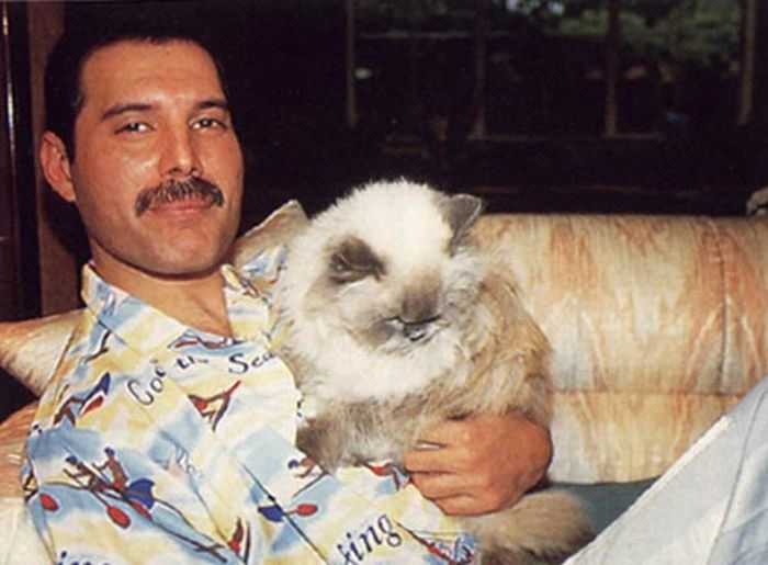 Famous People and Their Cats (67 pics)