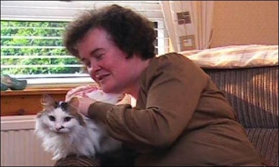 Famous People and Their Cats (67 pics)