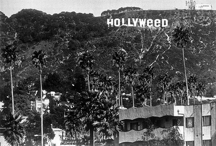 Fun with Hollywood Sign (8 pics)