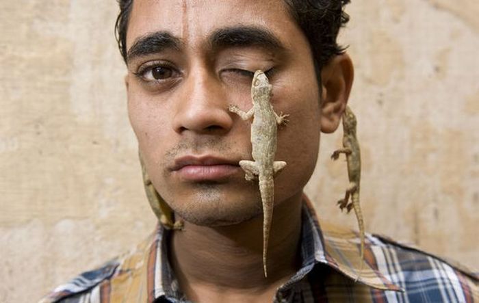 A Man who Loves Lizards (5 pics)