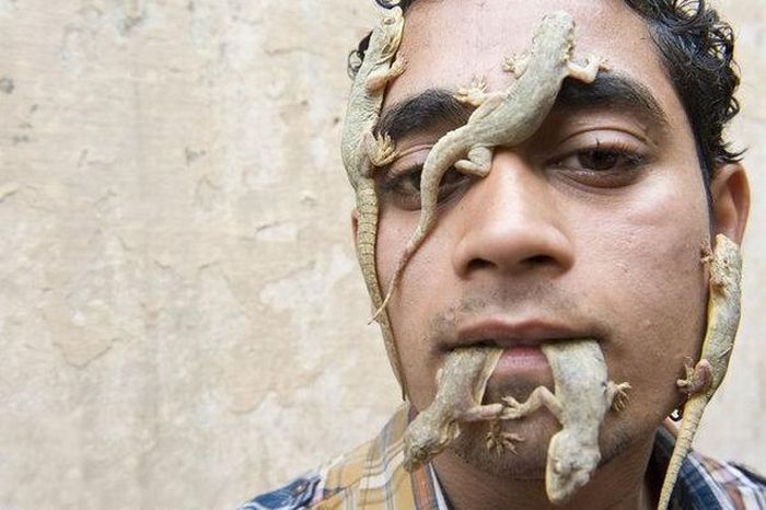 A Man who Loves Lizards (5 pics)