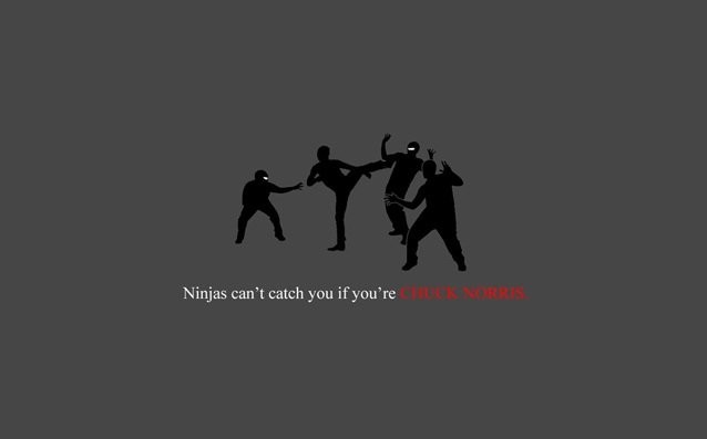 Funny Facts About Ninjas (20 pics)