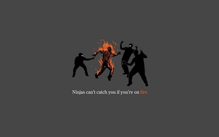 Funny Facts About Ninjas (20 pics)