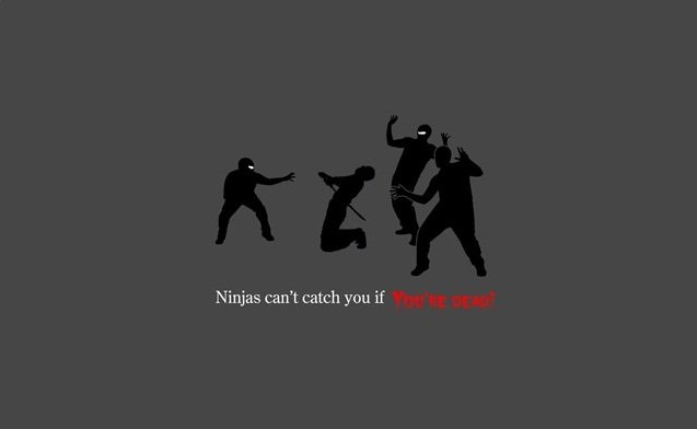 Funny Facts About Ninjas (20 pics)