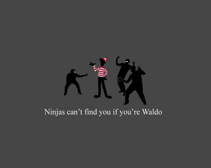 Funny Facts About Ninjas (20 pics)
