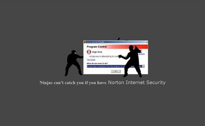 Funny Facts About Ninjas (20 pics)