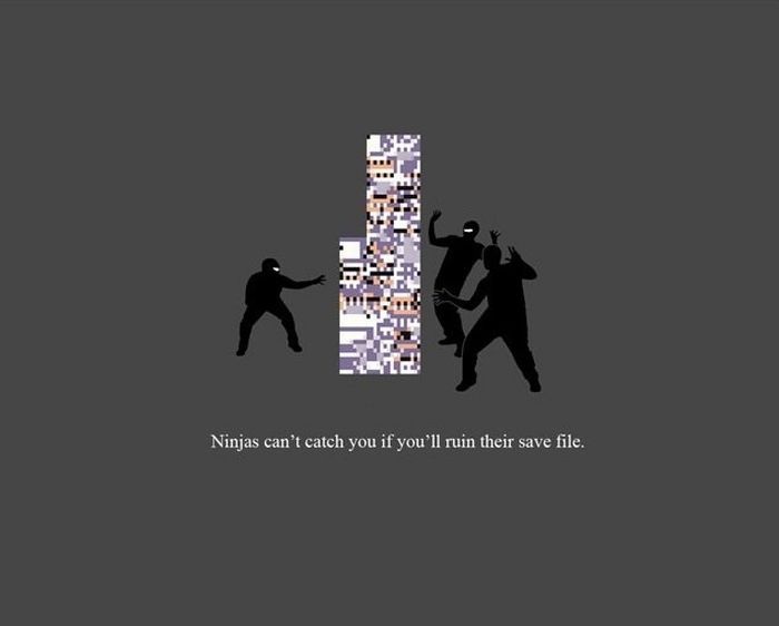 Funny Facts About Ninjas (20 pics)