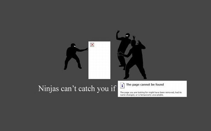 Funny Facts About Ninjas (20 pics)