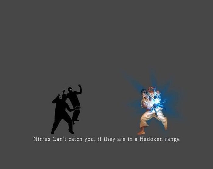 Funny Facts About Ninjas (20 pics)
