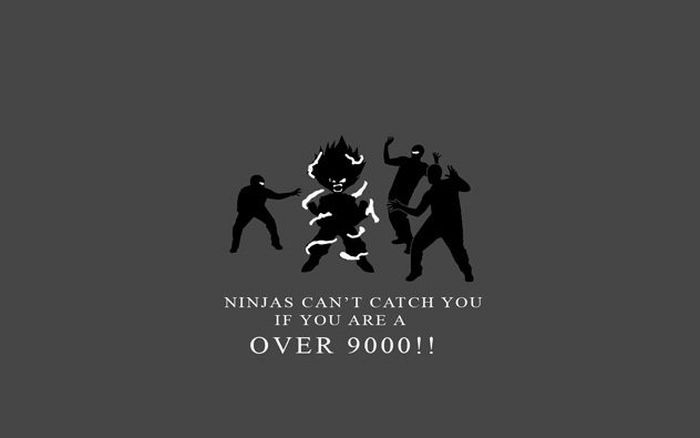 Funny Facts About Ninjas (20 pics)