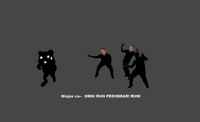 Funny Facts About Ninjas (20 pics)