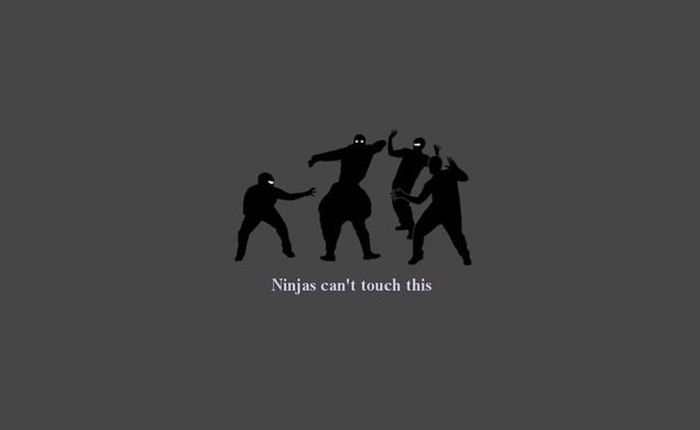 Funny Facts About Ninjas (20 pics)