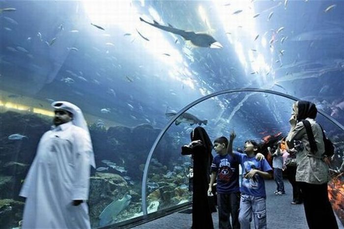 A Leak in a Giant Aquarium in Dubai (14 pics + 1 video)