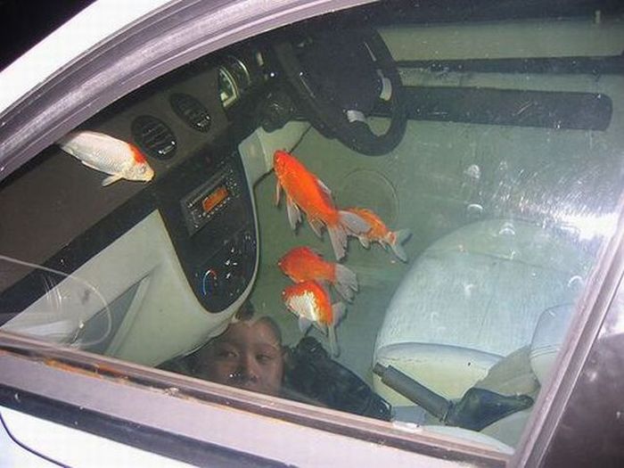 Car Aquarium (9 pics)