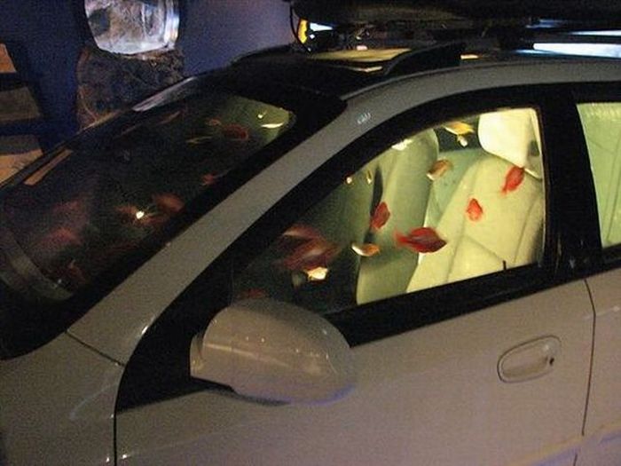 Car Aquarium (9 pics)