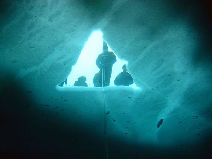 Ice Diving (22 pics)