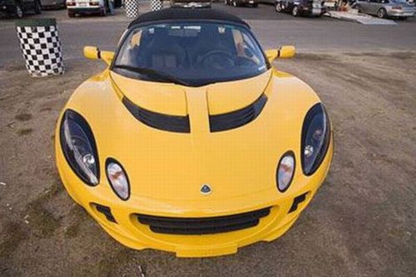 Cars that look like animals (32 pics)