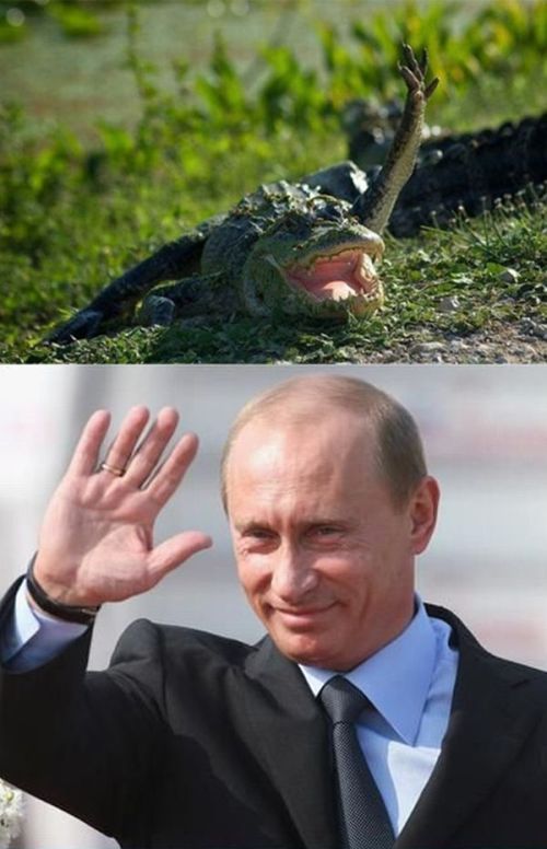 Saying Hi to Putin (20 pics)