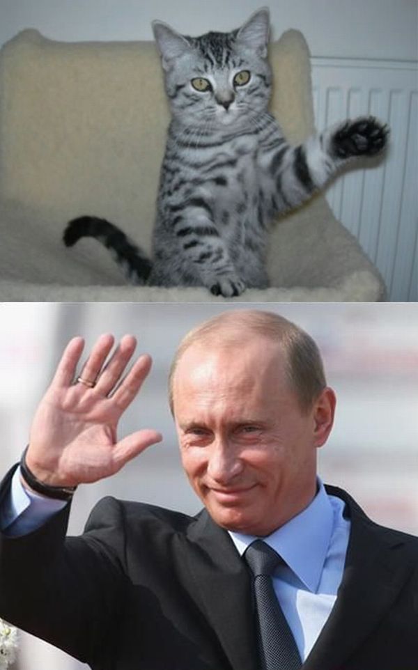 Saying Hi to Putin (20 pics)