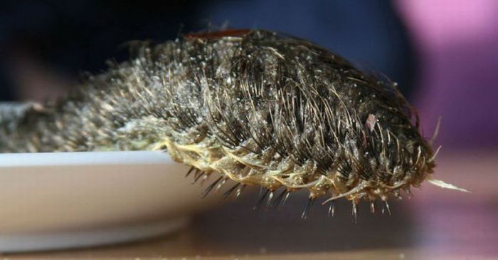 A Strange Monster (4 pics)
