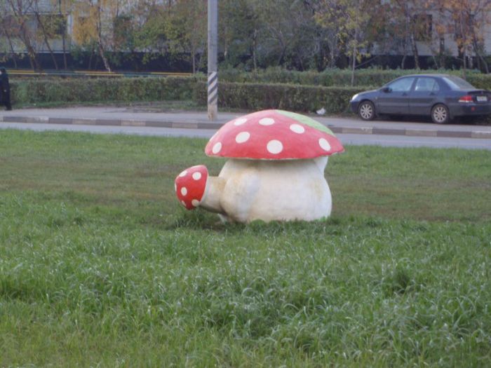 Acid Picdump (177 pics)