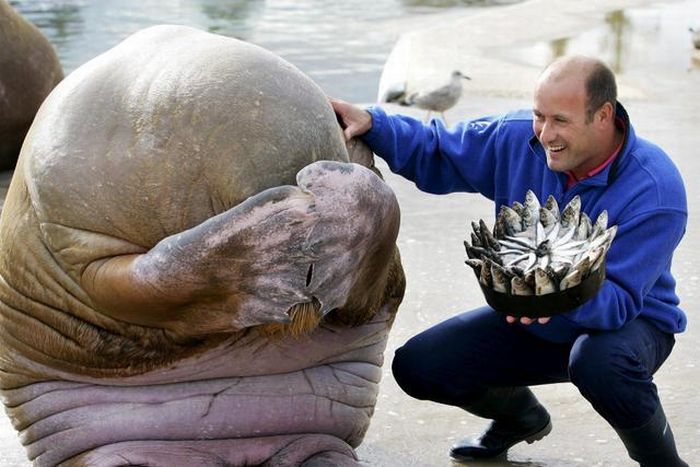 Acid Picdump (177 pics)