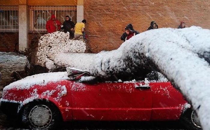 Acid Picdump (177 pics)