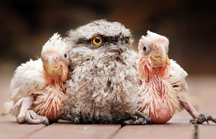 Acid Picdump (177 pics)
