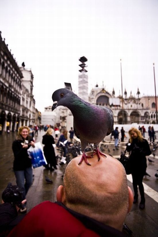 Acid Picdump (177 pics)