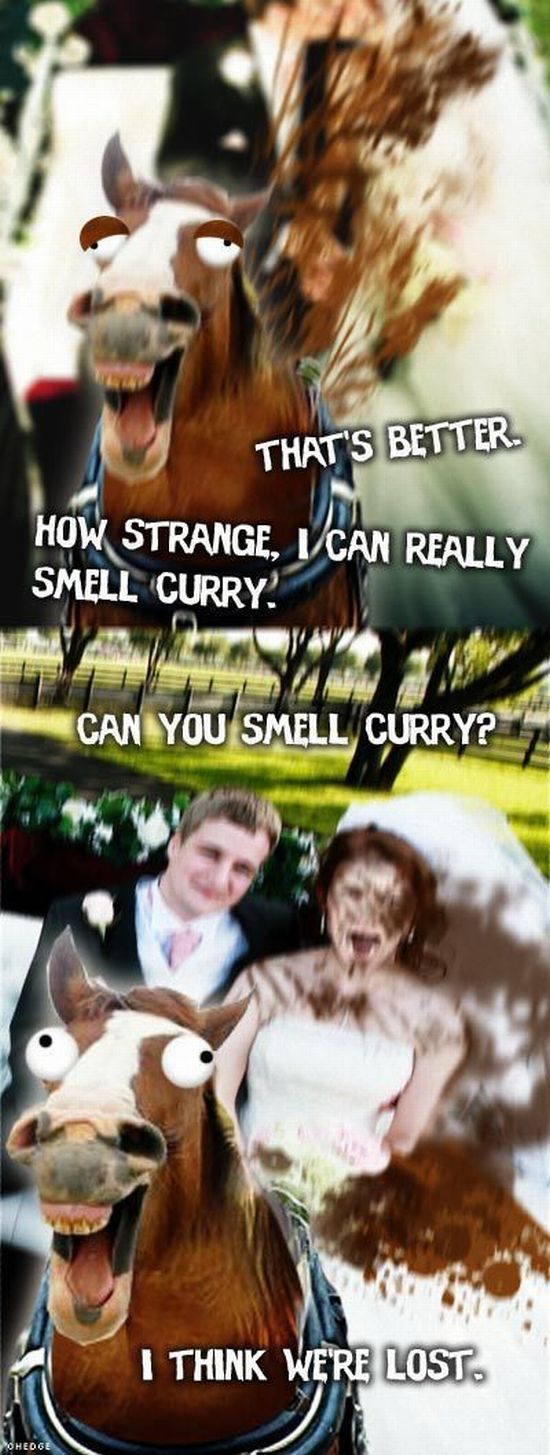 Acid Picdump (177 pics)