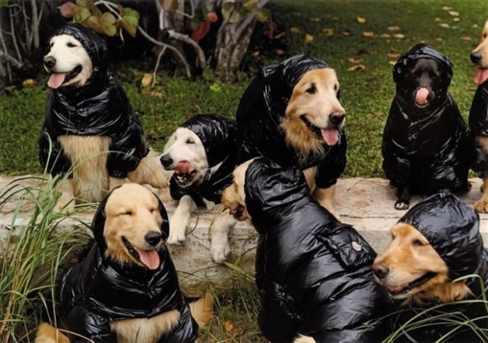 Acid Picdump (177 pics)
