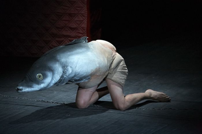 Acid Picdump (177 pics)