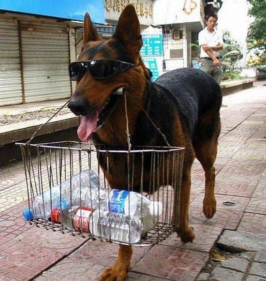 Acid Picdump (177 pics)