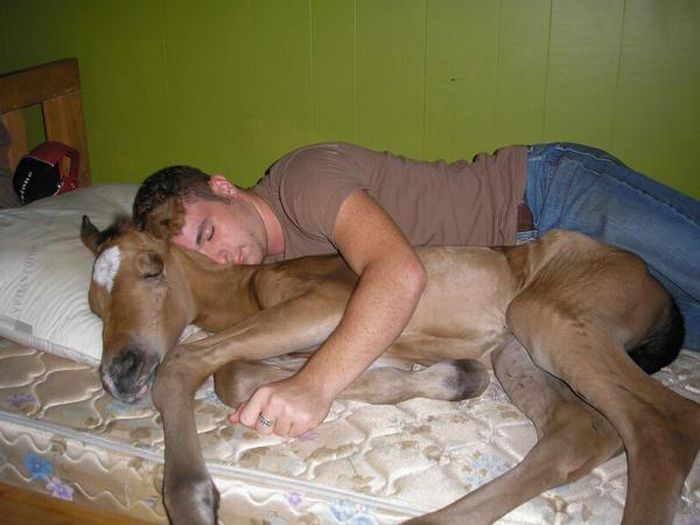 Acid Picdump (177 pics)