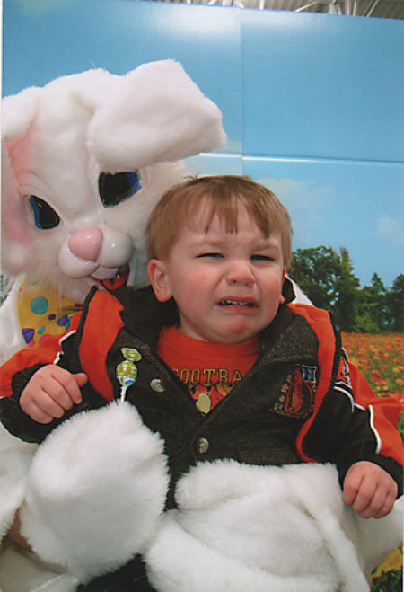 Funny Bunnies (69 pics)