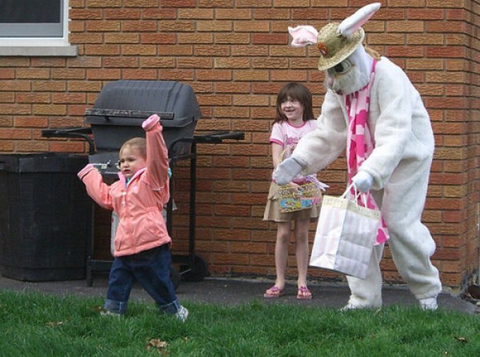 Funny Bunnies (69 pics)
